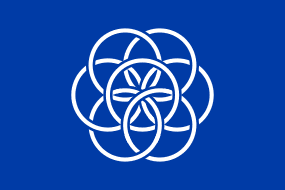 International flag